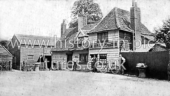 The Woodman Public House, Stanford Rivers, Essex. c.1905